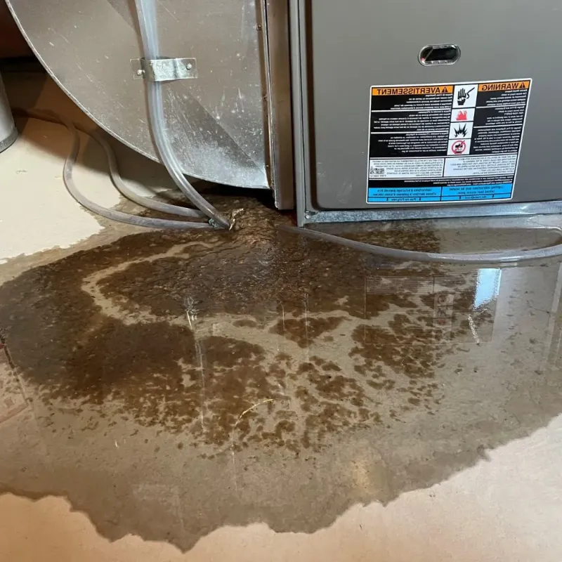 Pipe Burst and Leak Restoration in Reynolds Heights, PA
