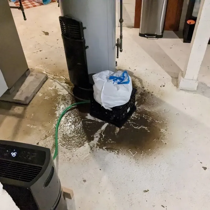 Sewage Backup Cleanup Service in Reynolds Heights, PA